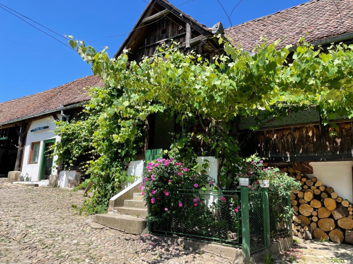 Saschiz 130/Lodging And Glamping Bagian luar foto