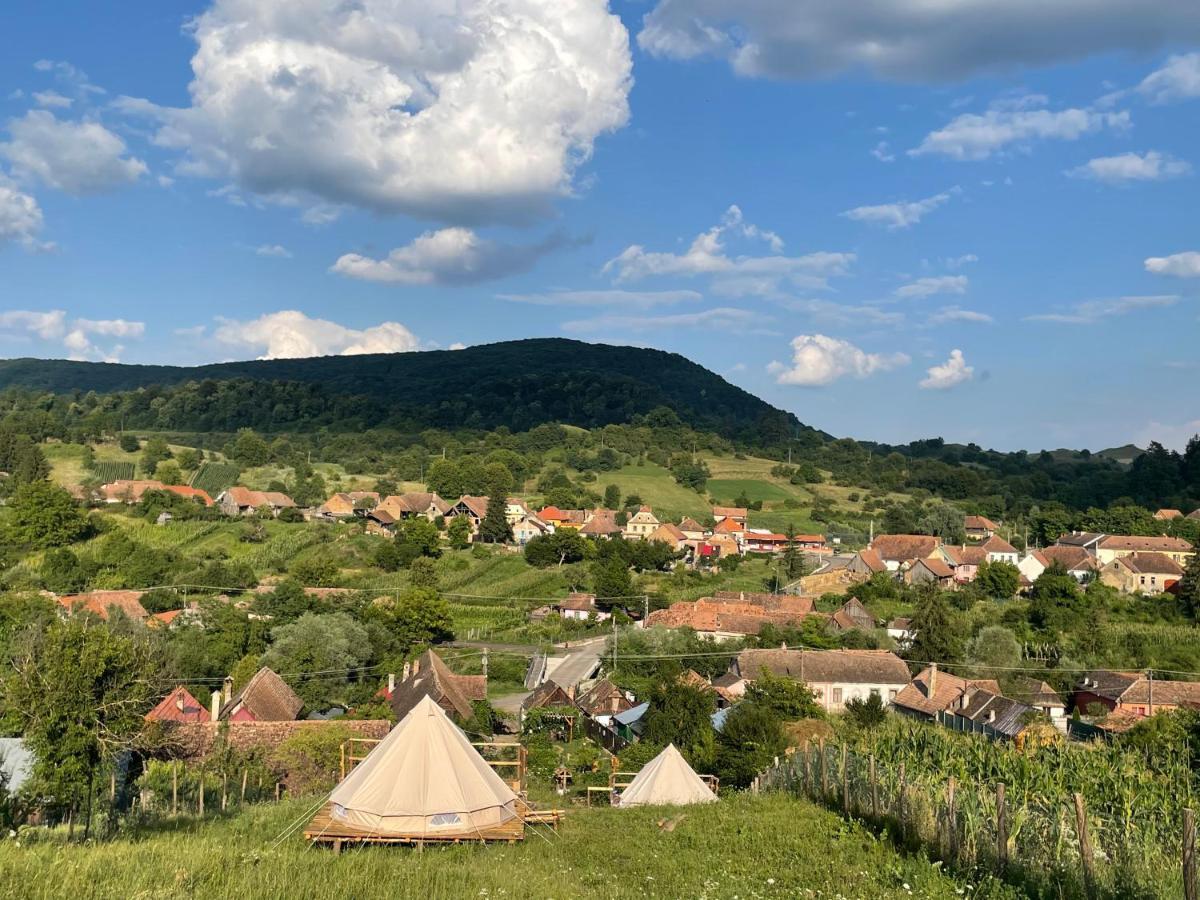 Saschiz 130/Lodging And Glamping Bagian luar foto