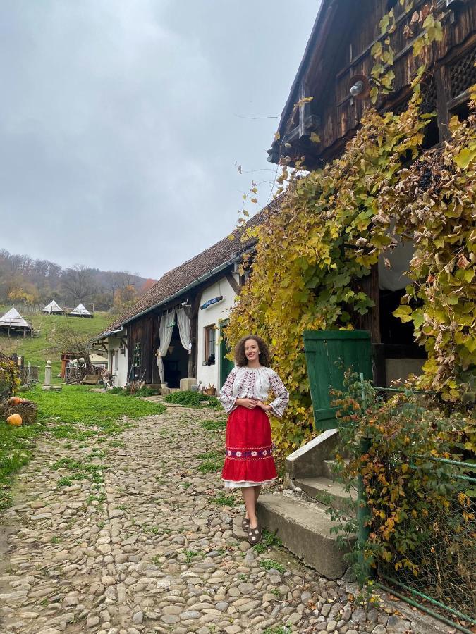 Saschiz 130/Lodging And Glamping Bagian luar foto