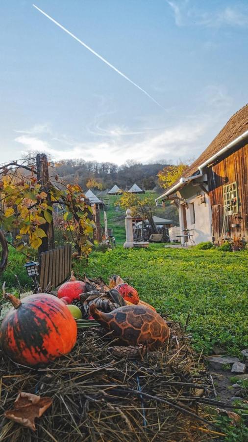 Saschiz 130/Lodging And Glamping Bagian luar foto