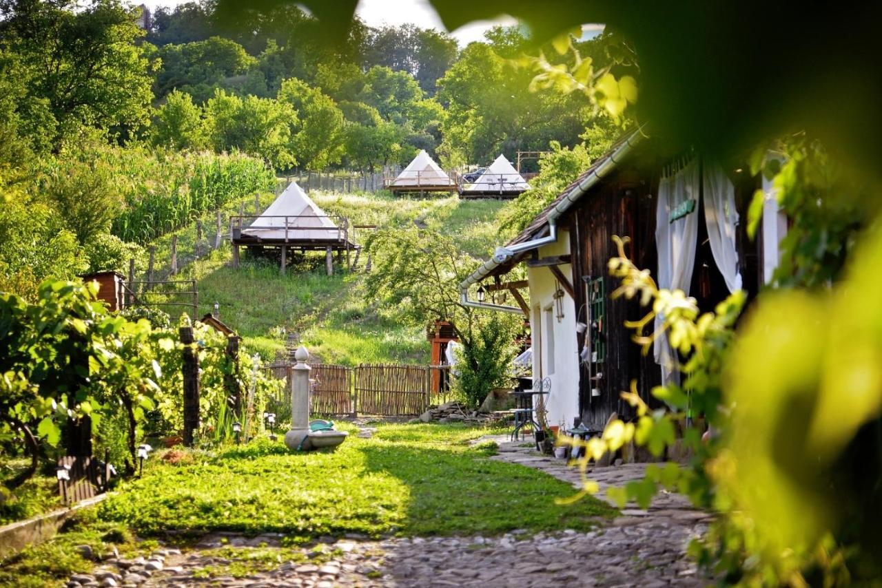 Saschiz 130/Lodging And Glamping Bagian luar foto
