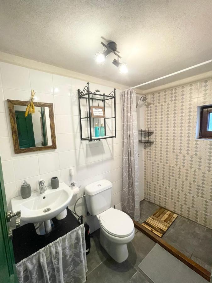 Saschiz 130/Lodging And Glamping Bagian luar foto